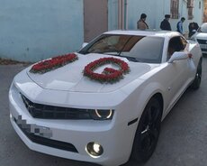 Chevrolet Camaro toy maşıni